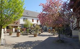 Besondere Ferienwohnung auf idyllischem Reiterhof nahe Burg Eltz