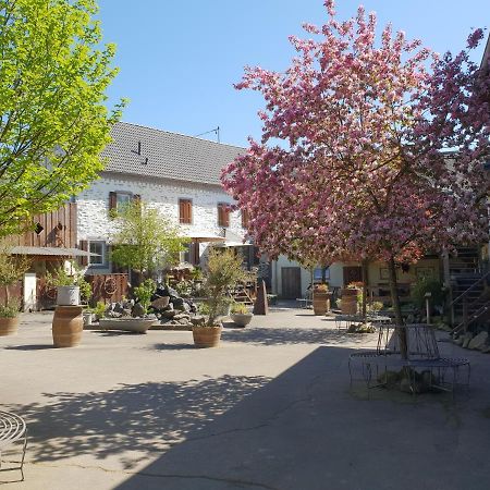 Besondere Ferienwohnung auf idyllischem Reiterhof nahe Burg Eltz Münstermaifeld Exterior foto