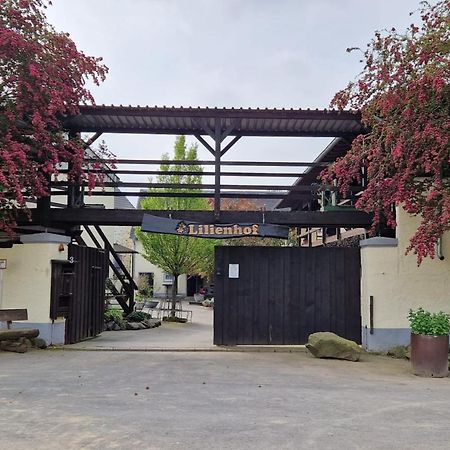 Besondere Ferienwohnung auf idyllischem Reiterhof nahe Burg Eltz Münstermaifeld Exterior foto
