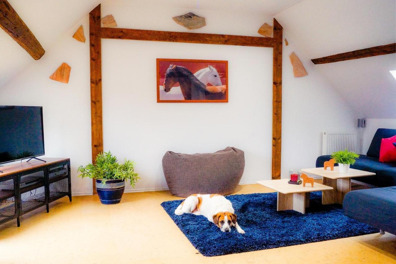 Besondere Ferienwohnung auf idyllischem Reiterhof nahe Burg Eltz Münstermaifeld Exterior foto
